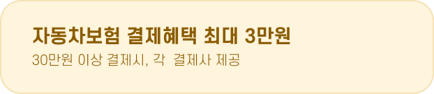 자동차보험 결제혜택 최대 3만원 30만원 이상 결제시, 각  결제사 제공