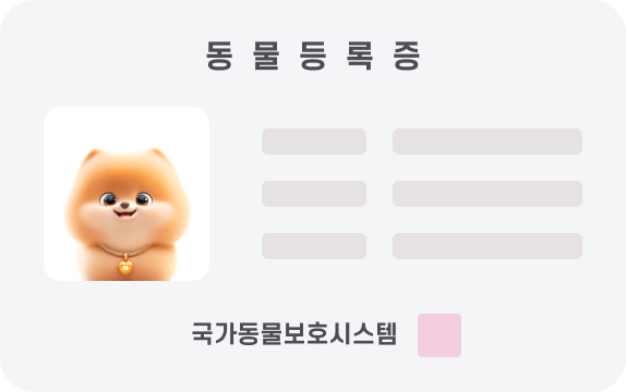 세이프티 로더 예시 이미지
