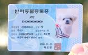 등록한 차량번호판 이미지